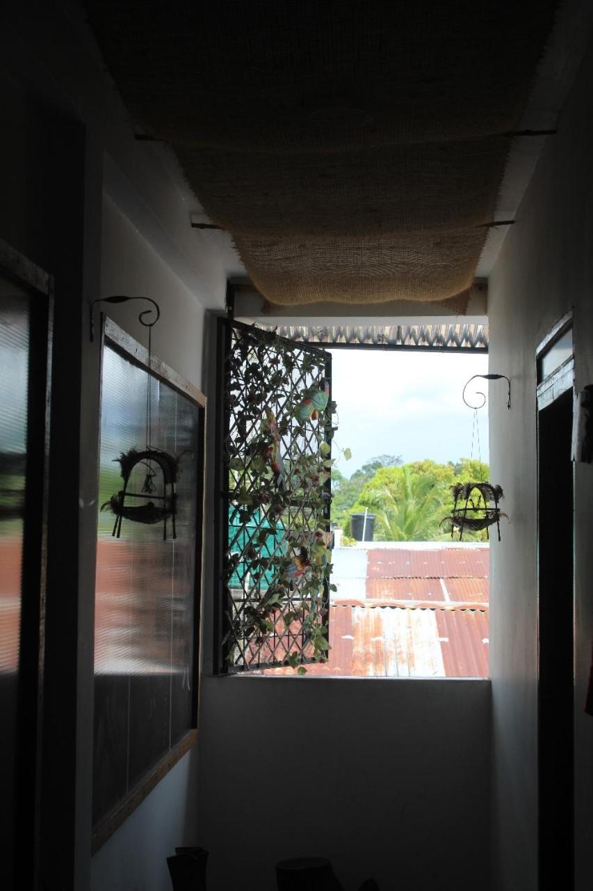 Hotel Gavas Amazonas Leticia Exterior foto